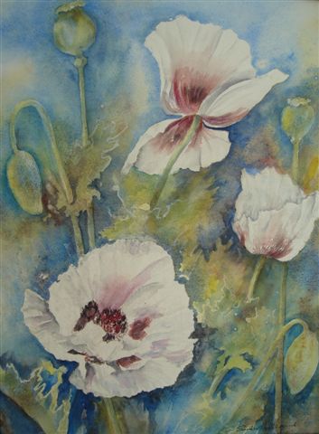 2006 White  Poppies Watercolour